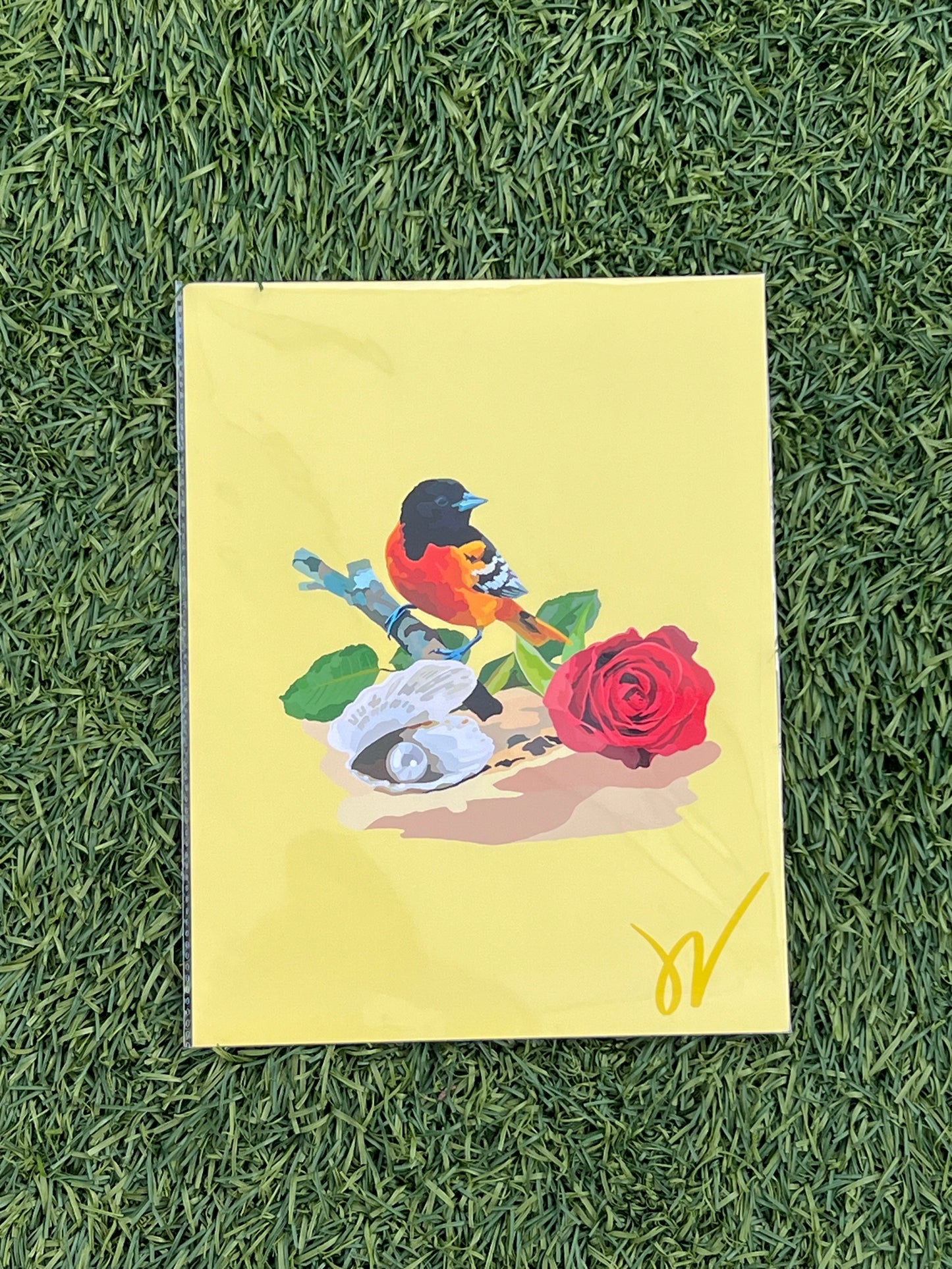 June Baltimore Oriole Print
