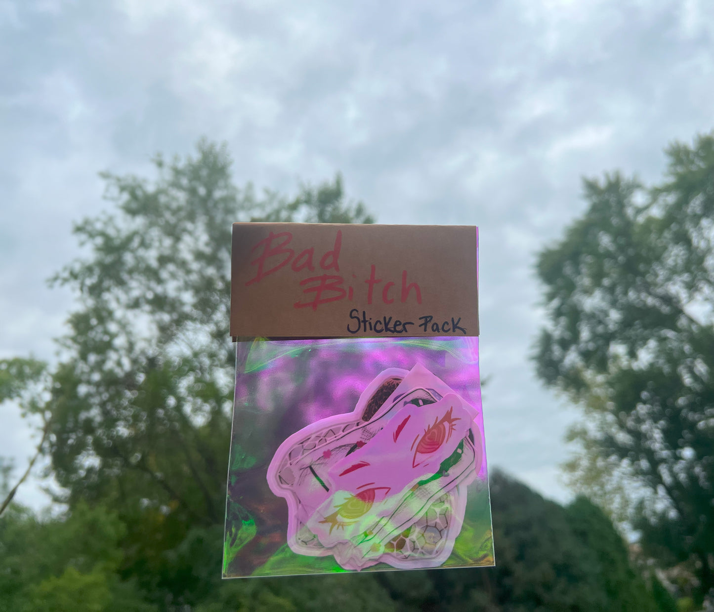 Bad Bitch Sticker Pack- Support the Artist