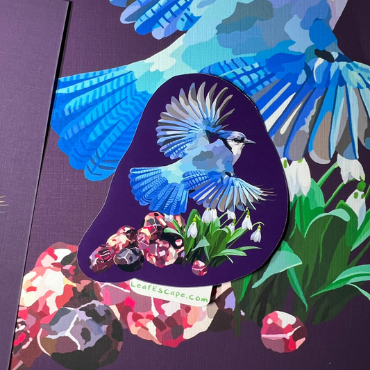 January Blue Jay Print