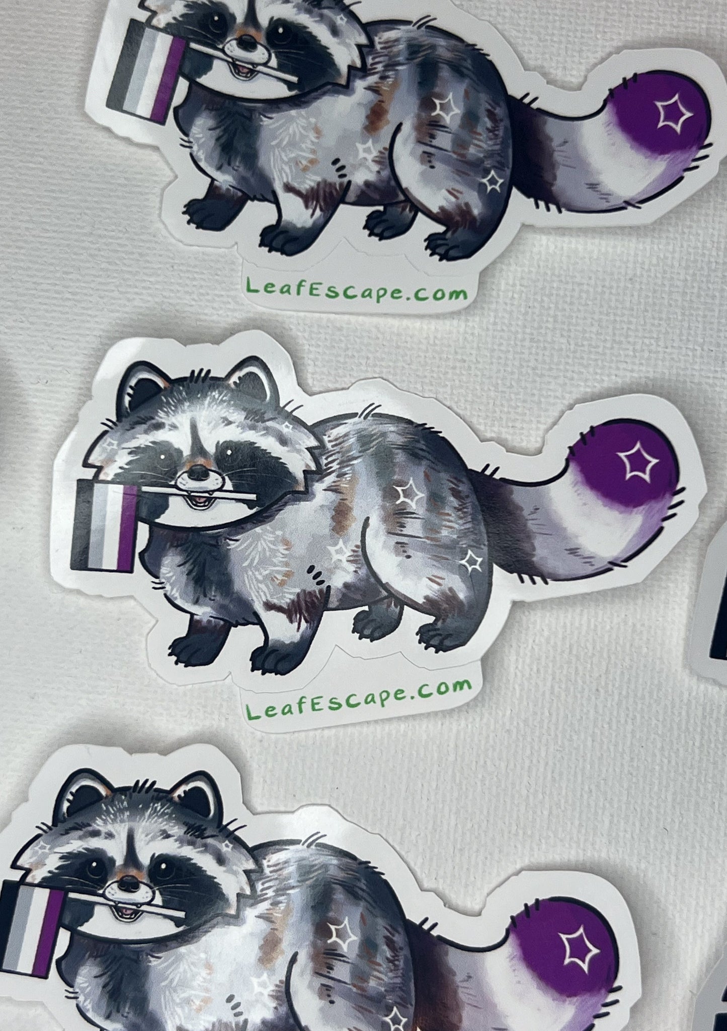Pride Raccoons Stickers