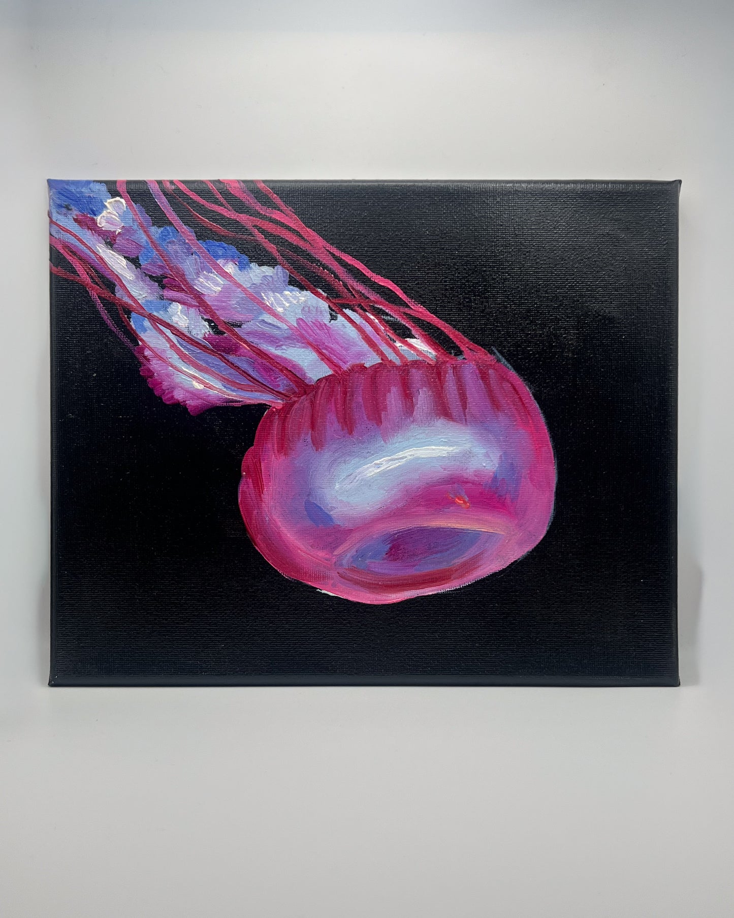 Magenta Jellyfish