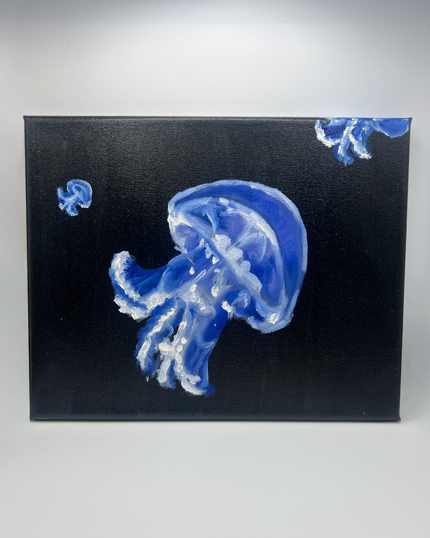 Navy Jellyfish