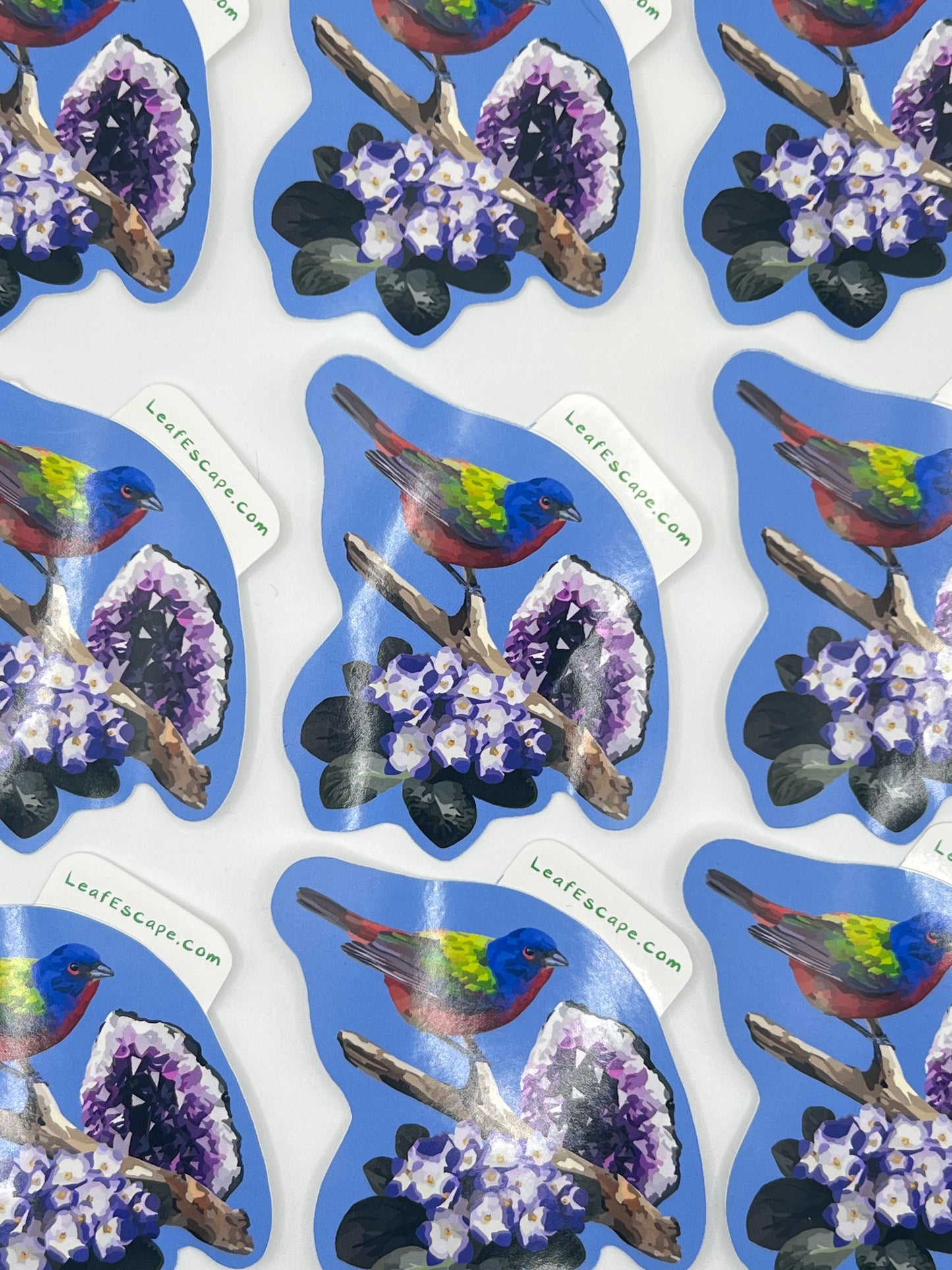 February Painted Bunting Sticker