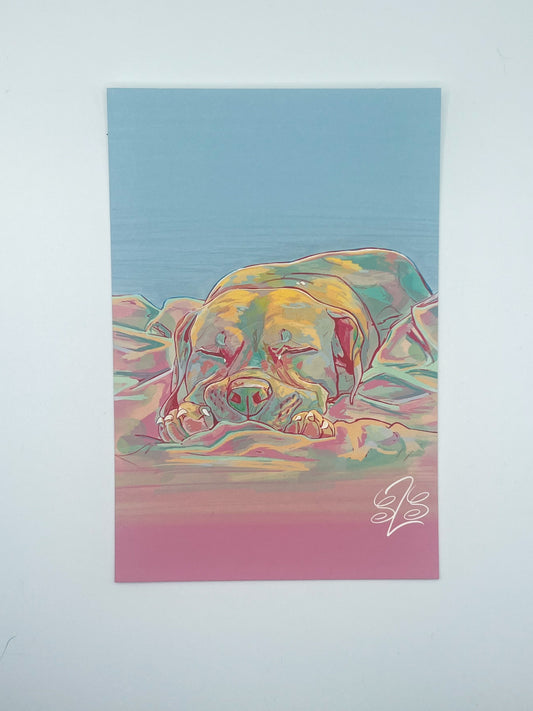 Lollipop Dream Print