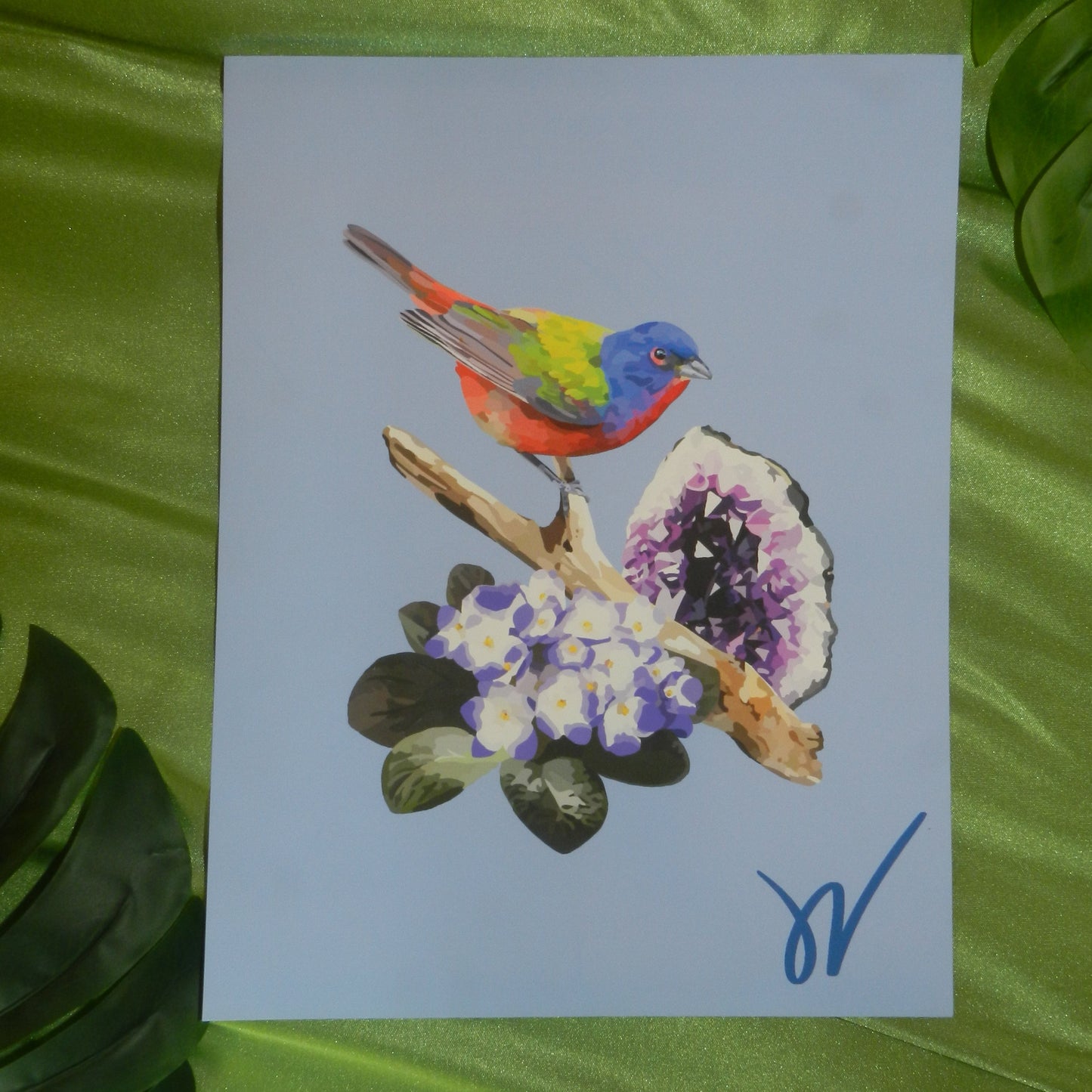 February Painted Bunting Print