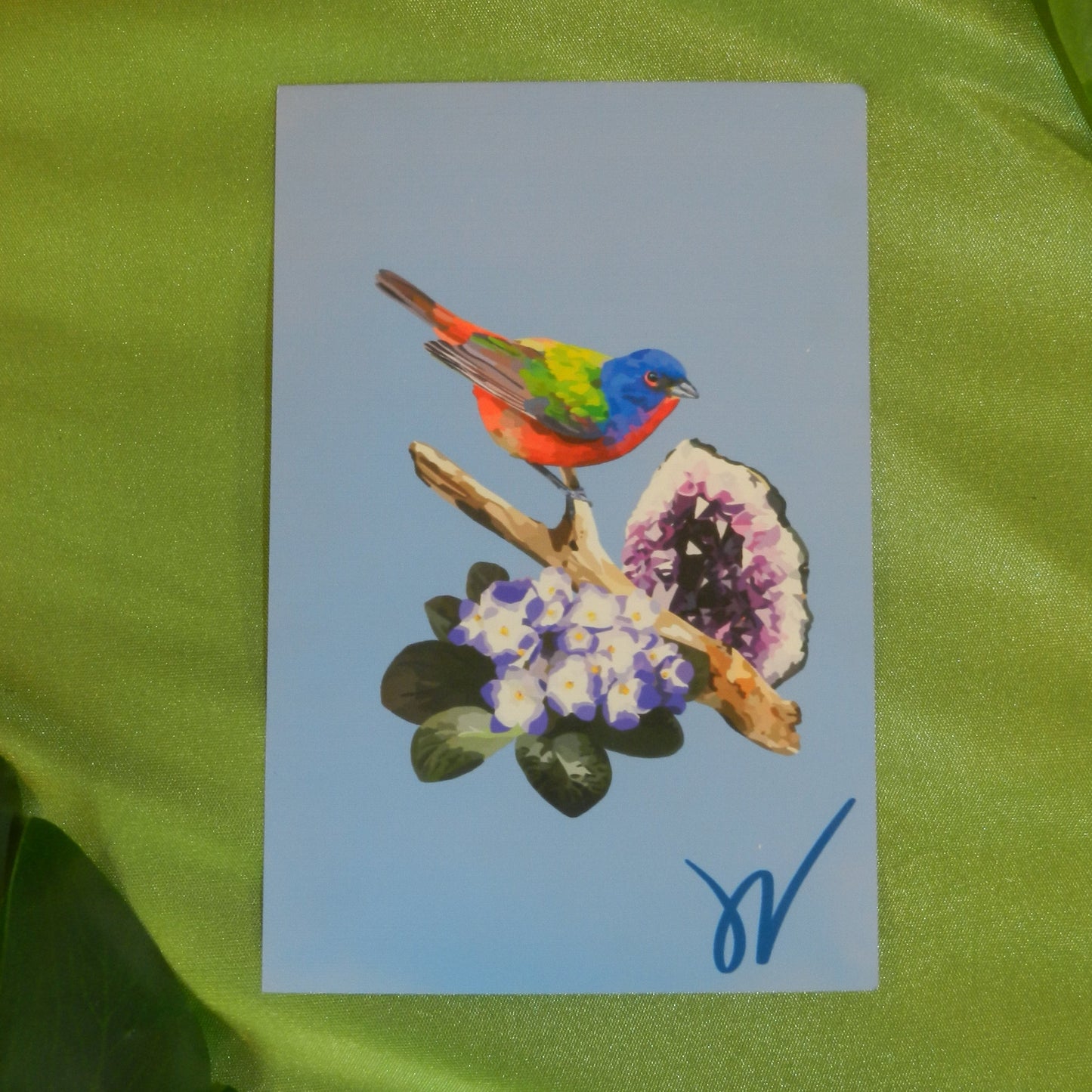 February Painted Bunting Print