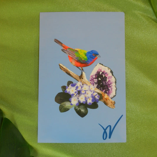 February Painted Bunting Print