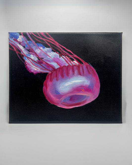Magenta Jellyfish