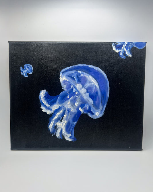 Navy Jellyfish