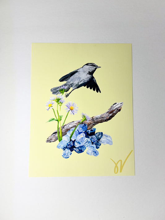 September Mountain Chickadee Print