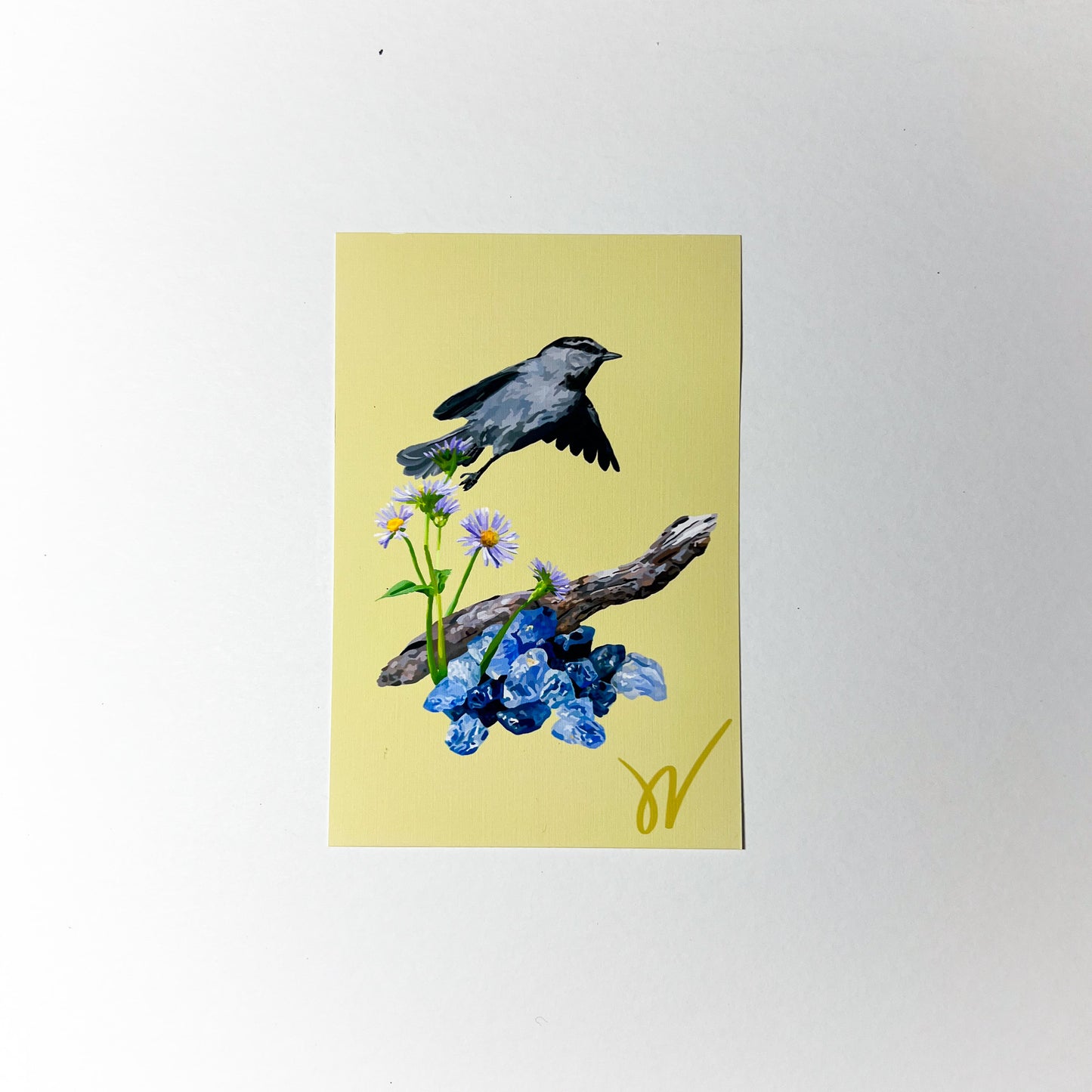 September Mountain Chickadee Print