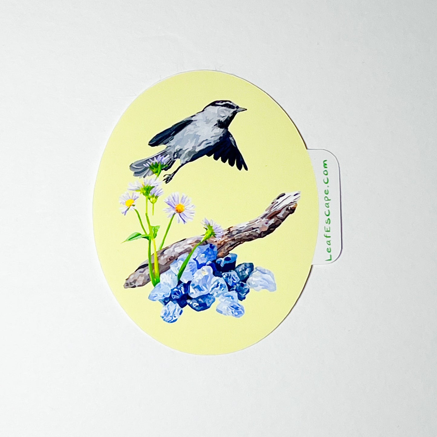 September Mountain Chickadee Sticker