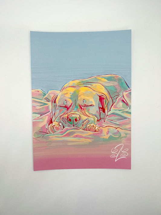 Lollipop Dream Print