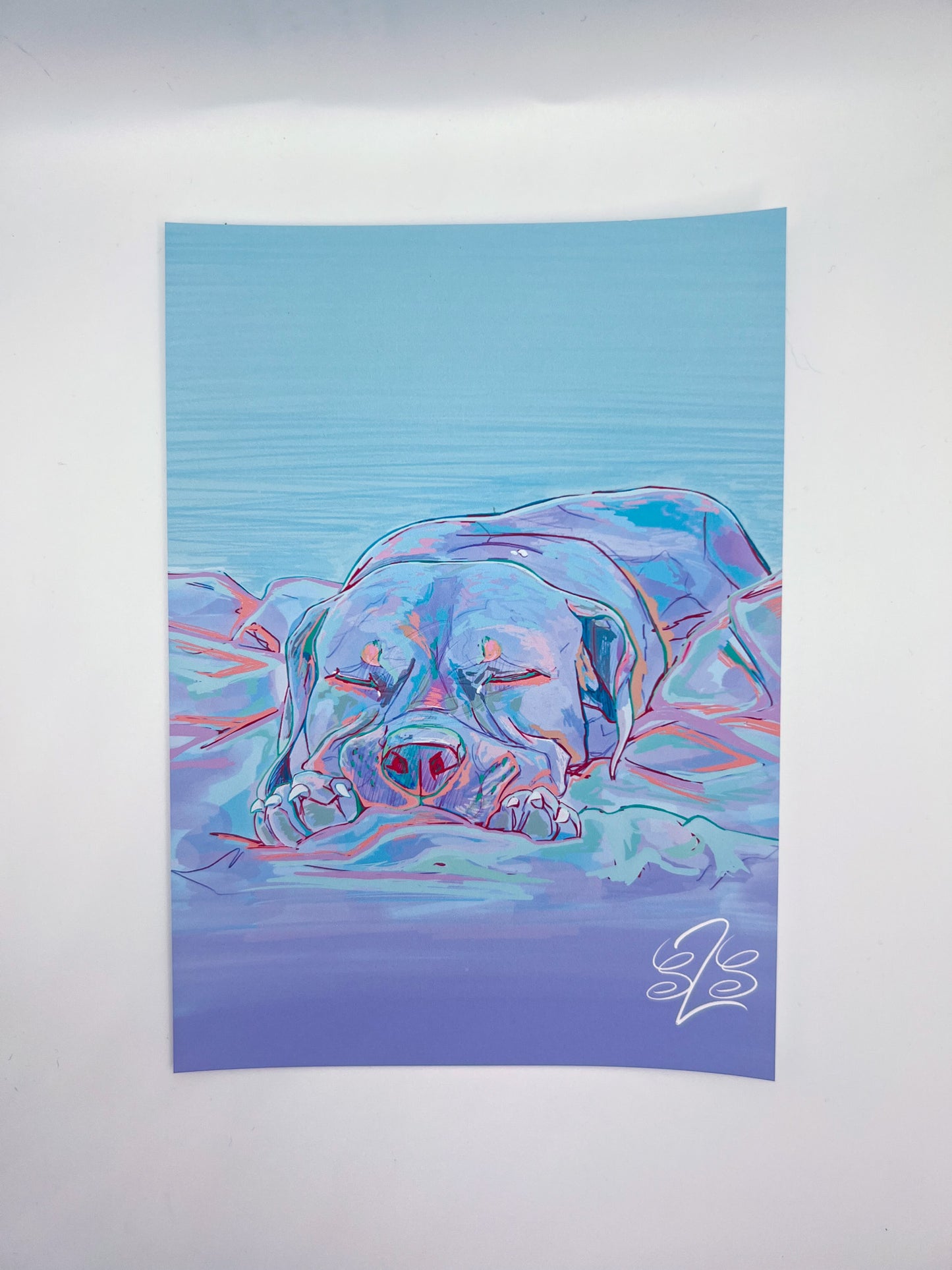 Serene Dream Print